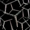 Tiny sponge spicules. 