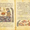 illustrations of fish on a book page