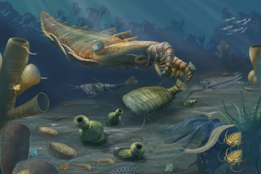 A rendering of an underwater marine scene from the Cambrian Period, featuring an arthropod, annelids, and other animals.