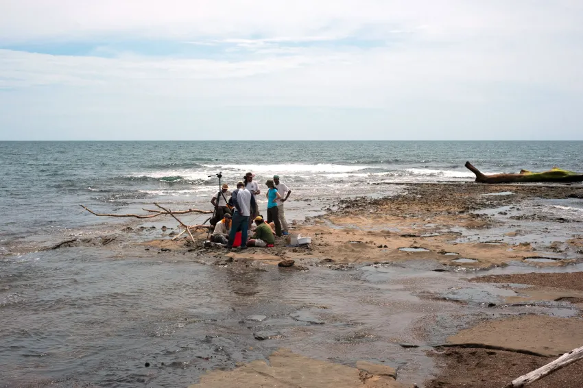 Smithsonian scientists race the tide the excavate an ancient whale fossil entombed in rock