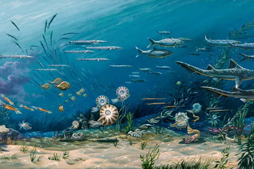 A Mesozoic Ocean scene