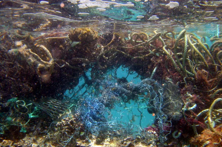Lost Nets Hurt Coral Reefs | Smithsonian Ocean