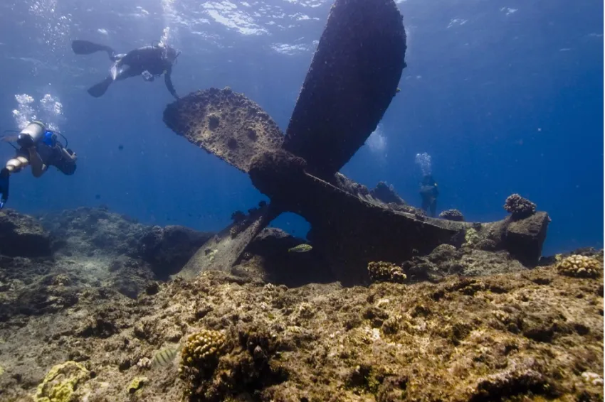 a sunken propeller becomes overtaken by a reef with two scuba diver in the background