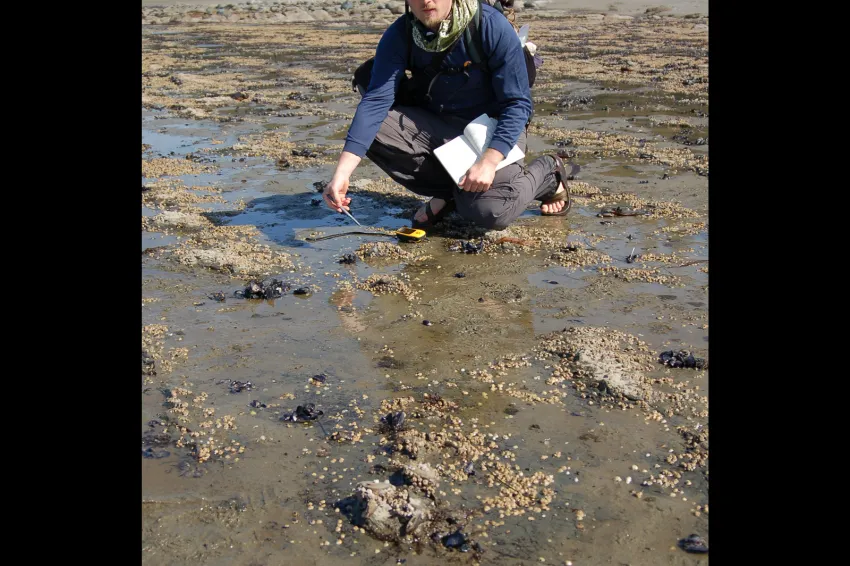 Nick Pyenson points to a skull and skeleton of a fossil whale. 