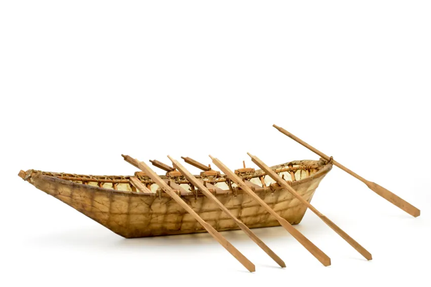 a skin boat model with oars