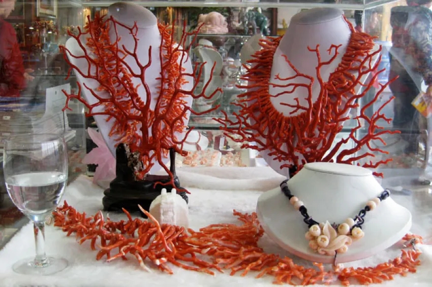 Red coral for sale hotsell
