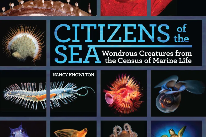 Cover of the Book Citizens of the Sea