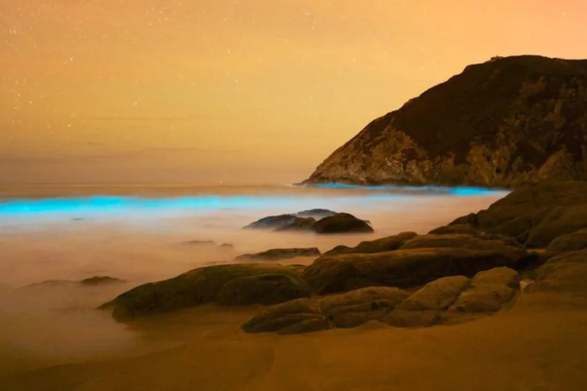 A glowing ocean surface.
