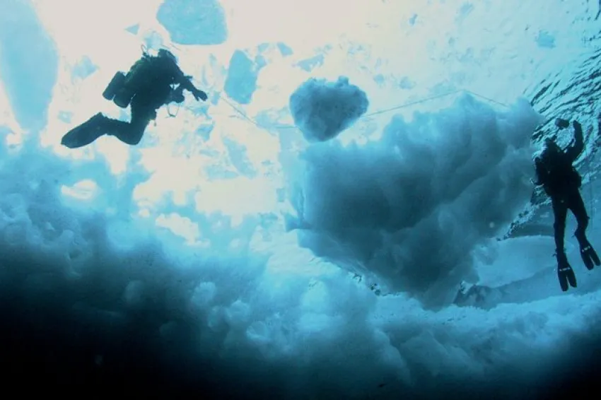 Divers deep into the cold waters beneath the ice.