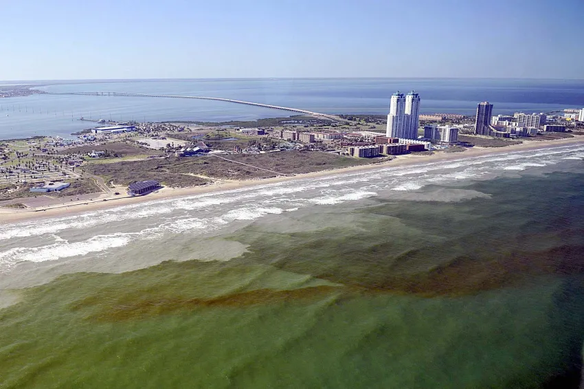 A bloom of algae from up above