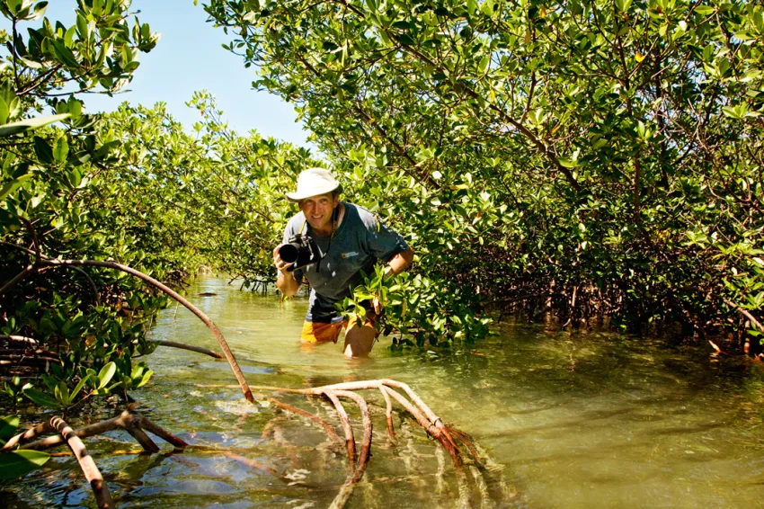 Photographer Brian Skerry walks knee deep in a mangrove in the Bahamas.