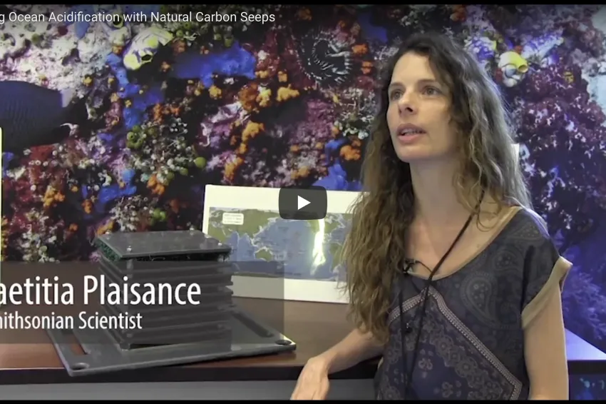 Thumbnail of Ocean Acidification scientist being interviewed.