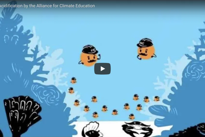 A screenshot from the video "What is Ocean Acidification?" showing an illustrated underwater scene.