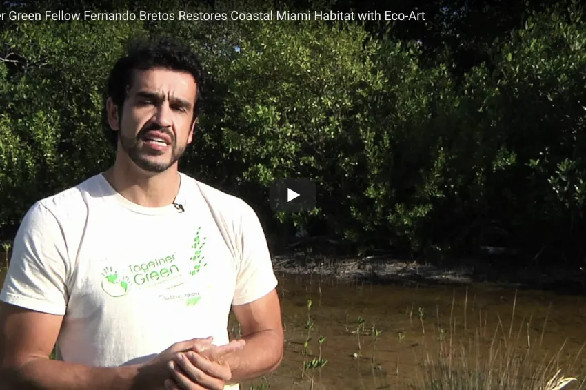 A screenshot from the video showing a volunteer talking about mangrove restoration.
