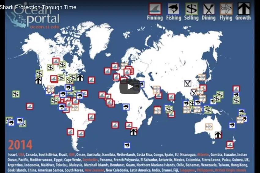 A screenshot from the video showing a map that highlights shark protections around the globe. 