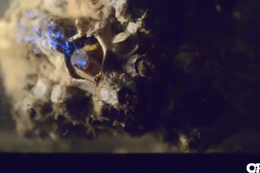 A screenshot from video showing glowing dinoflagellates being eaten by a barnacle. 