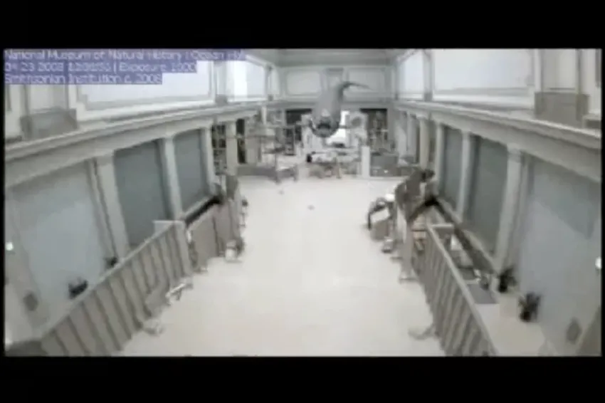 screenshot of ocean hall time lapse