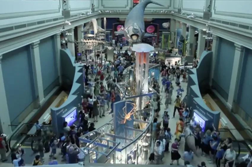 view of the visitors dancing in ocean hall