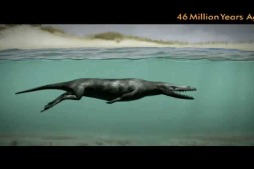 An ancient whale ancestor