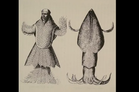 Illustration of a giant squid versus a merman. 