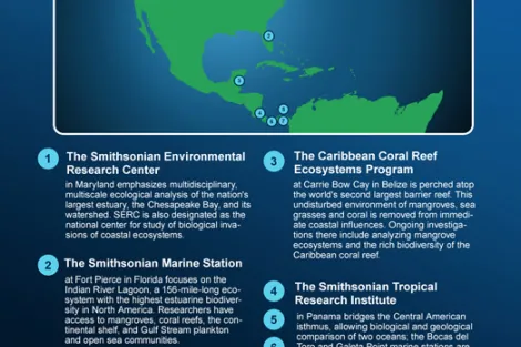 These Smithsonian field stations enable scientists worldwide to conduct long-term studies on mangrove ecosystems.