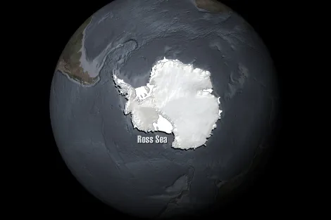 The Ross Sea is a 1.9 million square mile (3.6 million square km) stretch of ocean off the coast of Antarctica.