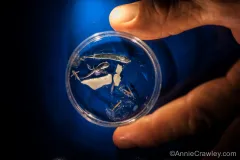 Plastic does not biodegrade; it photodegrades, which means that sunlight breaks it down into smaller and smaller pieces. These bits of plastic and plankton were collected during a 3:00 am manta net tow, and are just a sample of the plankton-like plastic pi