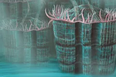 Color illustration of an ancient bivalve.