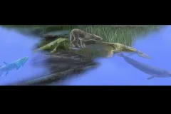 Vertebrates evolved in the sea and eventually moved onto land. The ancestors of whales later returned to the sea.
