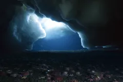 The dark sea floor of the Antarctic, beneath sea ice, is covered with life. 