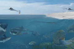An illustration depicting many sea animals living in the Cretaceous seas off Angola. 