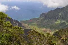 a view of Hawaii's coast from atop a mountain