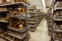 An image of collections storage at the Smithsonian National Museum of Natural History.