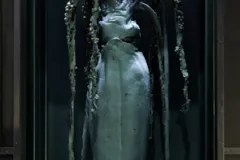 This male giant squid is on display at the Smithsonian’s National Museum of Natural History.