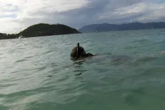 Can we use the sea as a source of fresh water?