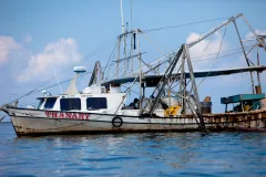A fishing boat makes its way offshore towards the Gulf 