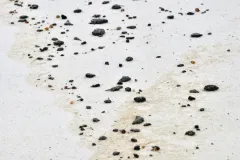 Tar balls scattered on the sandy shore