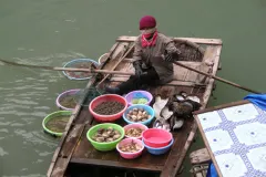 Fresh Shellfish for Sale in Vietnam