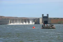 A team tags chinook salmon from a boat. 