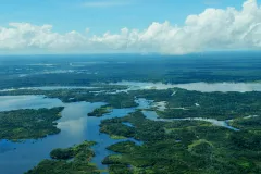 The Amazon River carries all the rainwater that lands in the Amazon rainforest, covering some 2.1 million square miles, into the ocean. And with it, it carries vital nutrients like phosphorus, nitrogen and silicon.