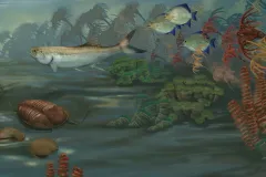Illustration of the Paleozoic shallow water habitat. 