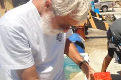 A scientists examines a sponge specimen collected in the Caribbean. 