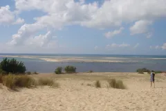 The Banc d'Arguin National Park site in Mauritania was inscribed on the World Heritage List in 1989. Fringing the Atlantic coast, the park comprises sand dunes, coastal swamps, small islands, and shallow coastal waters. A wide variety of migrating birds sp