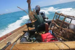 A Barbudan fisherman with a fresh lobster catch!