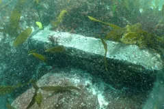 A bar underwater at a shipwreck site