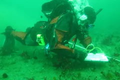 There are many techniques used to sample the benthic zone.