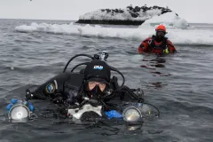 Brian Skerry prepares to dive in icy waters. 