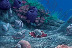 Snails at the bottom of the ocean in a Carboniferous Period 