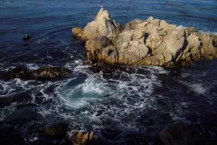A bird sits atop an outcrop of rocks surrounded by turbulent water. 