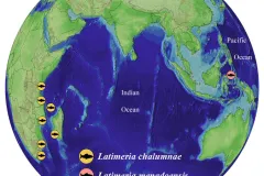 a map of where coelacanths live